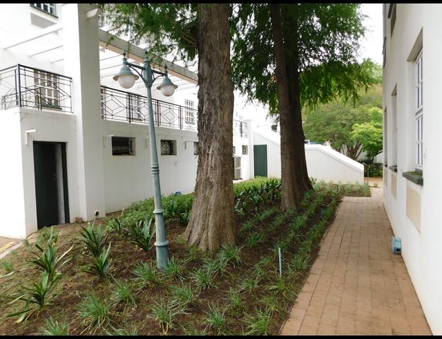 377M² OFFICE TO LET IN ROSEBANK
